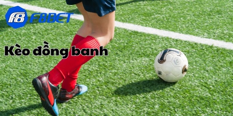 Lợi ích mà bạn không thể ngờ đến